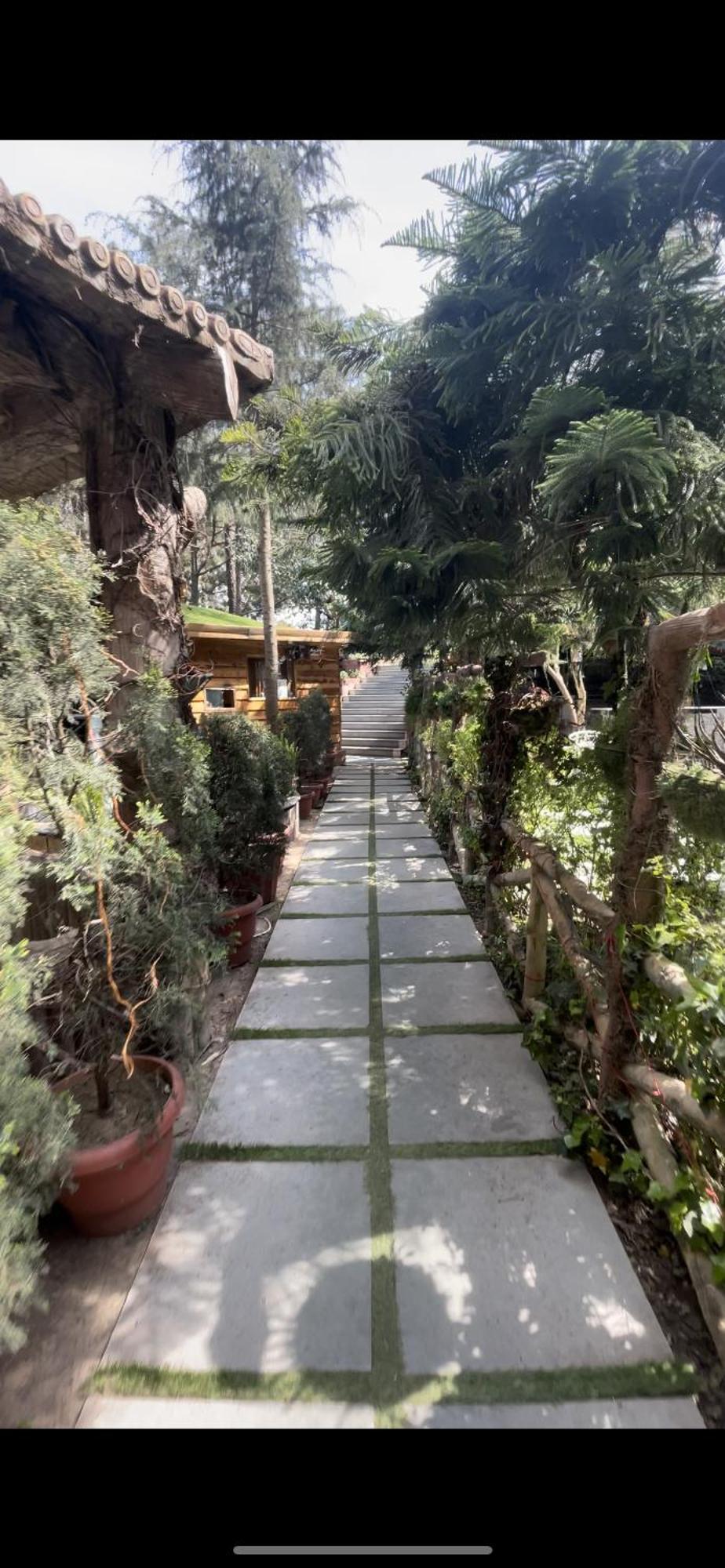 Kasauli Castle Resort Bagian luar foto