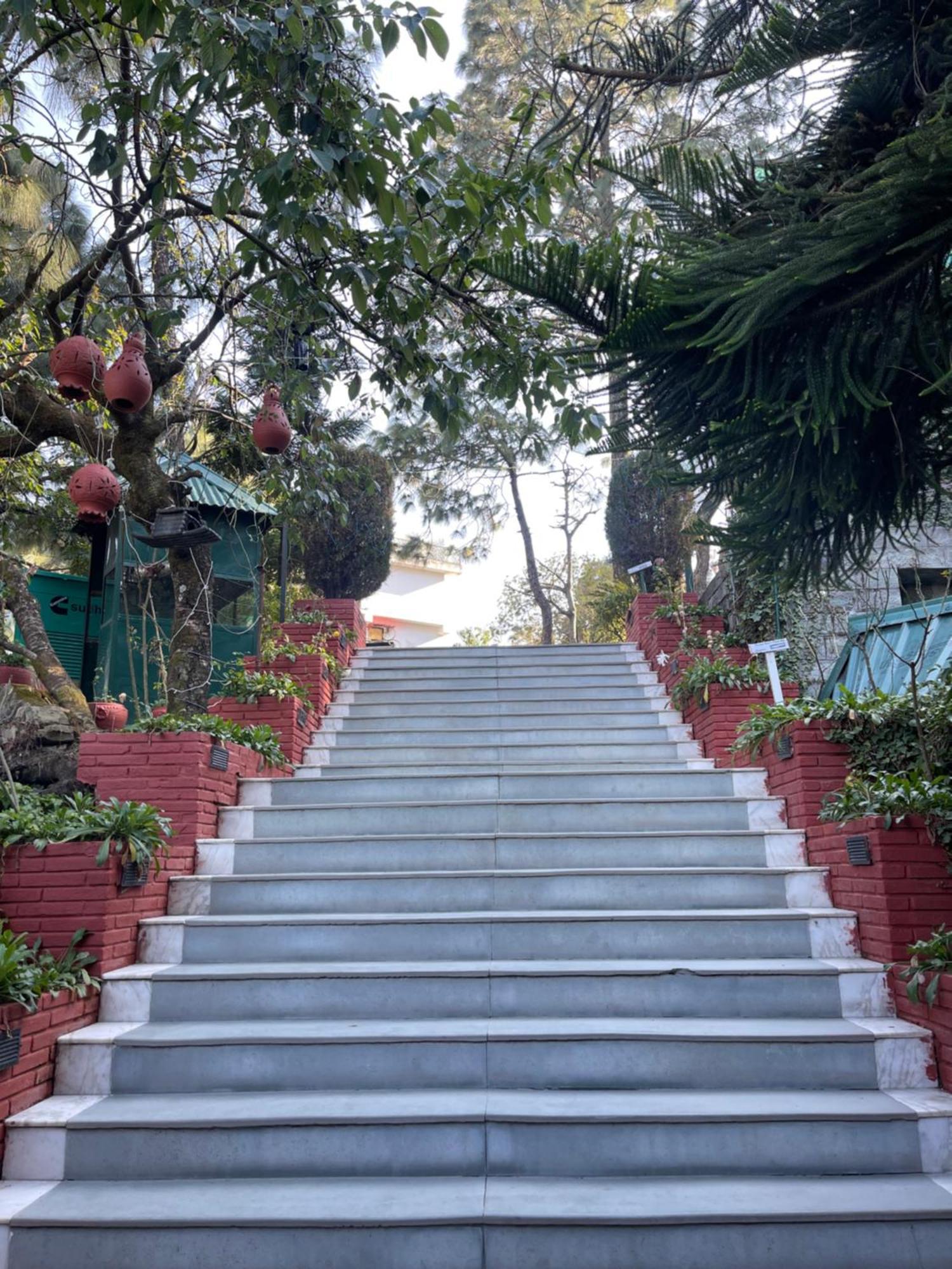 Kasauli Castle Resort Bagian luar foto